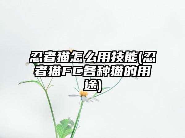 忍者猫怎么用技能(忍者猫FC各种猫的用途)