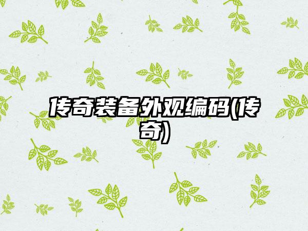 传奇装备外观编码(传奇)