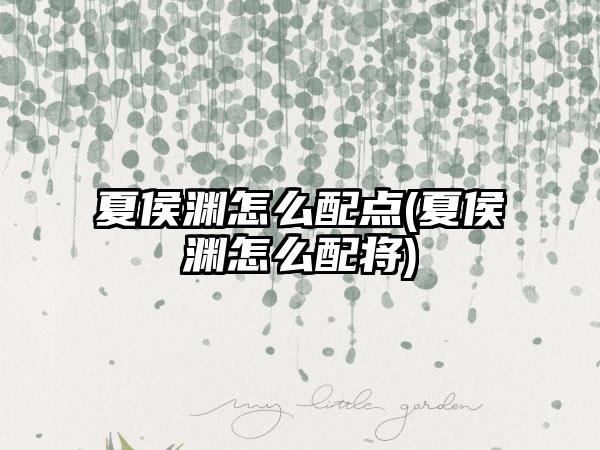 夏侯渊怎么配点(夏侯渊怎么配将)