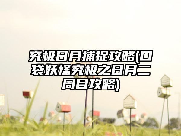 究极日月捕捉攻略(口袋妖怪究极之日月二周目攻略)