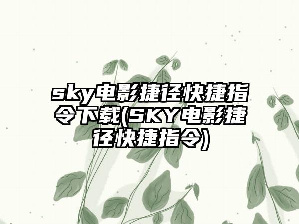 sky电影捷径快捷指令下载(SKY电影捷径快捷指令)