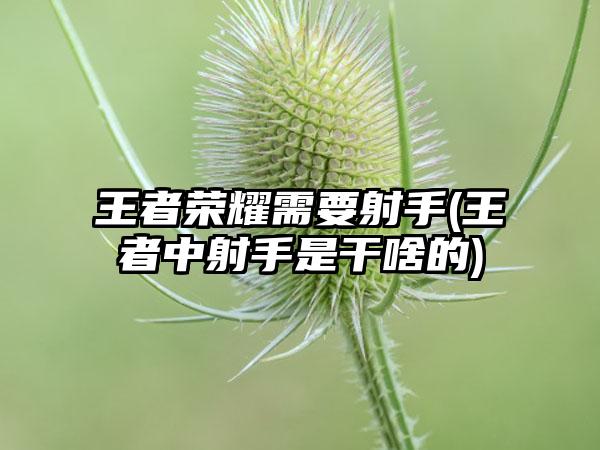 王者荣耀需要射手(王者中射手是干啥的)