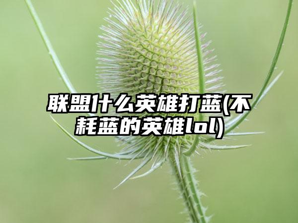 联盟什么英雄打蓝(不耗蓝的英雄lol)