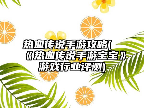 热血传说手游攻略(《热血传说手游宝宝》游戏行业评测)