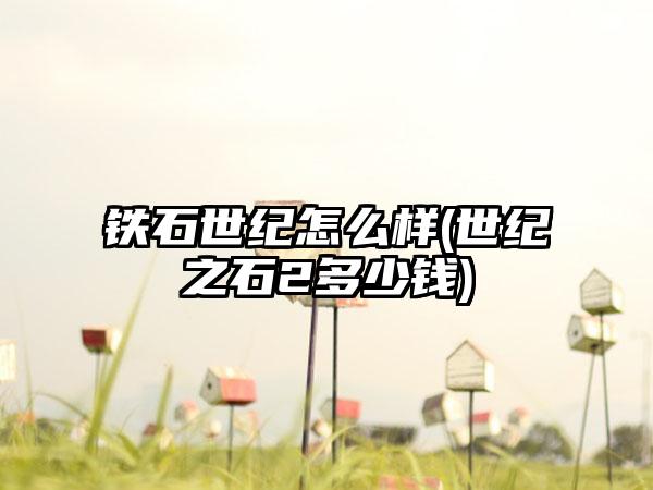 铁石世纪怎么样(世纪之石2多少钱)
