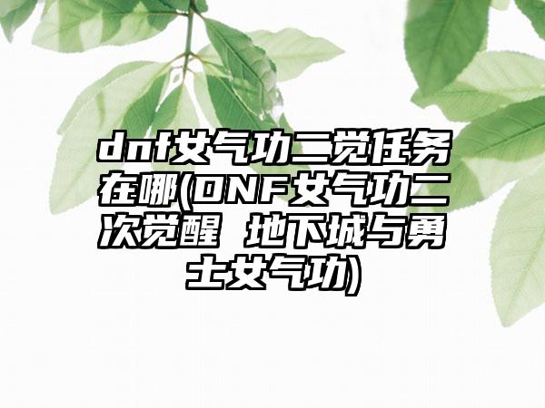 dnf女气功二觉任务在哪(DNF女气功二次觉醒 地下城与勇士女气功)