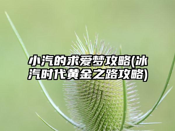 小汽的求爱梦攻略(冰汽时代黄金之路攻略)