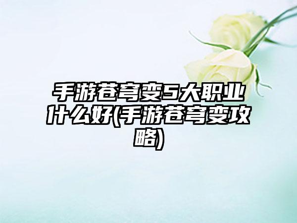 手游苍穹变5大职业什么好(手游苍穹变攻略)