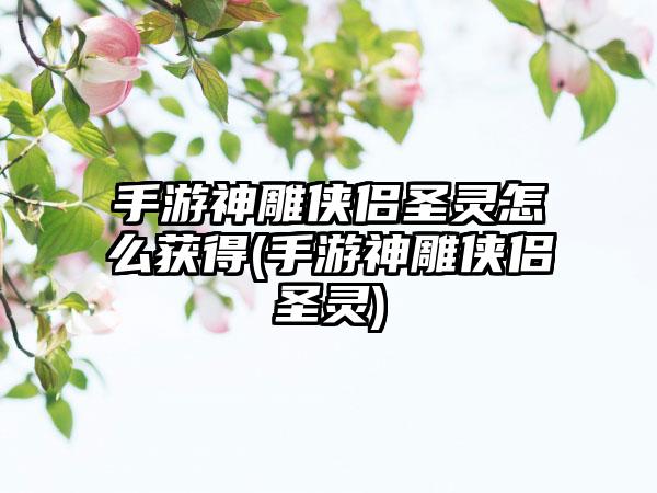 手游神雕侠侣圣灵怎么获得(手游神雕侠侣圣灵)