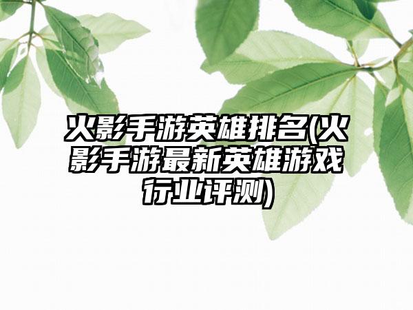 火影手游英雄排名(火影手游最新英雄游戏行业评测)