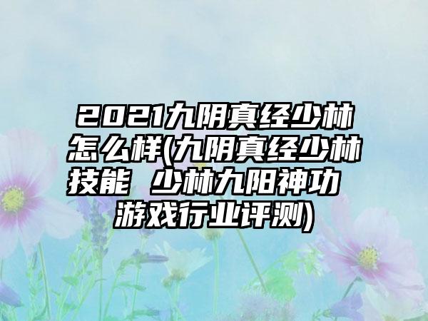 2021九阴真经少林怎么样(九阴真经少林技能 少林九阳神功 游戏行业评测)