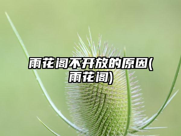 雨花阁不开放的原因(雨花阁)