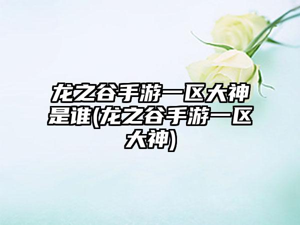 龙之谷手游一区大神是谁(龙之谷手游一区大神)