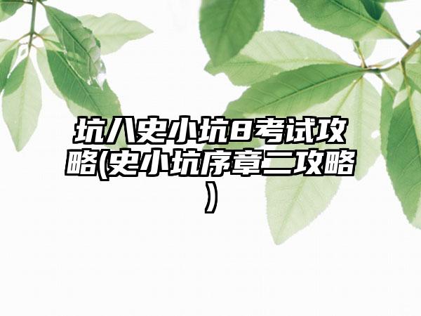 坑八史小坑8考试攻略(史小坑序章二攻略)