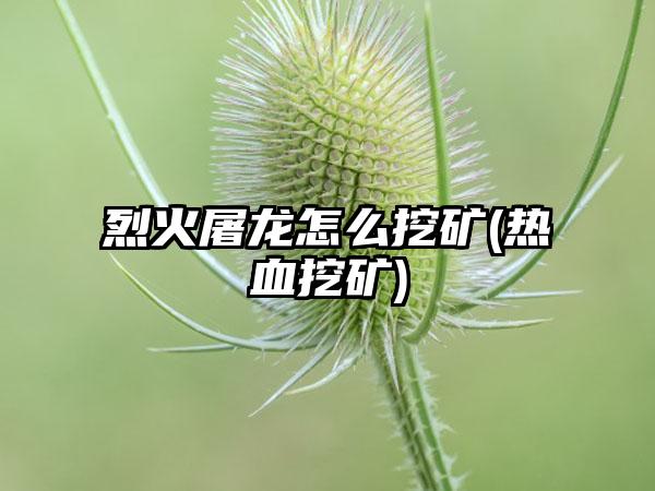 烈火屠龙怎么挖矿(热血挖矿)