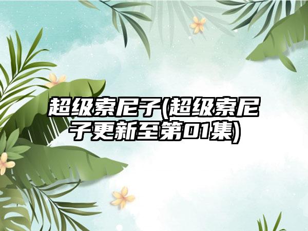 超级索尼子(超级索尼子更新至第01集)