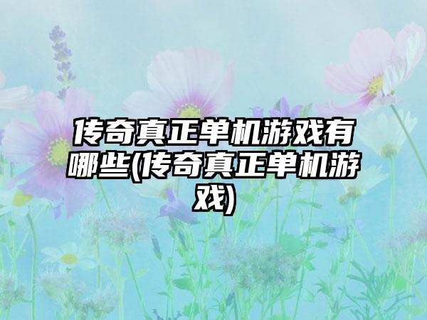 传奇真正单机游戏有哪些(传奇真正单机游戏)