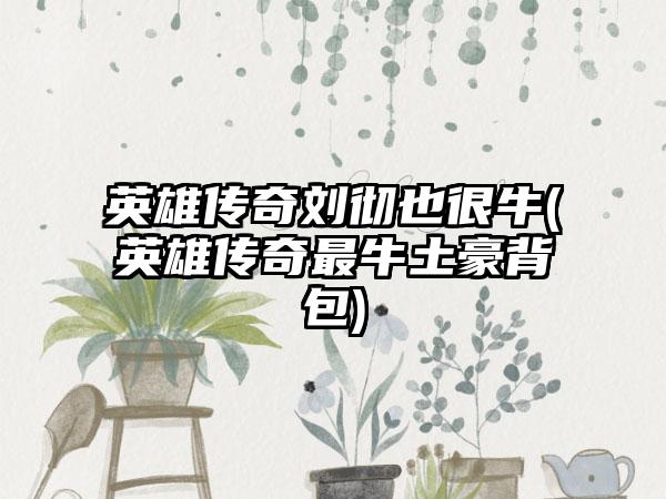 英雄传奇刘彻也很牛(英雄传奇最牛土豪背包)