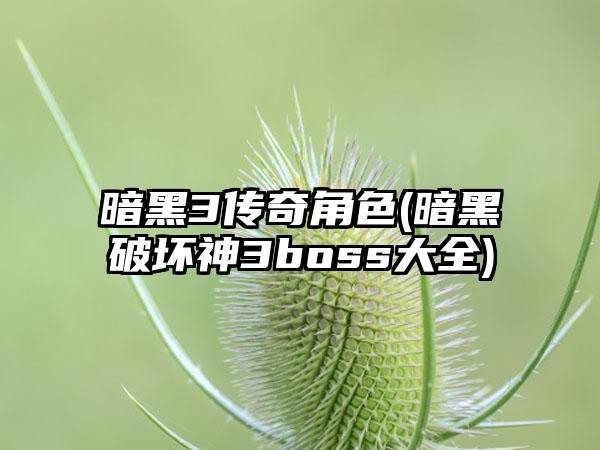 暗黑3传奇角色(暗黑破坏神3boss大全)