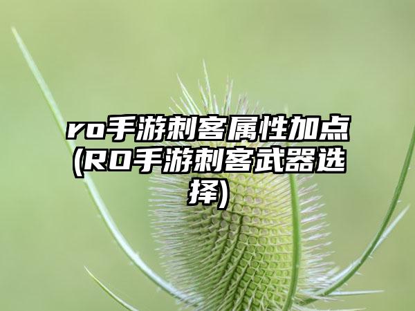 ro手游刺客属性加点(RO手游刺客武器选择)