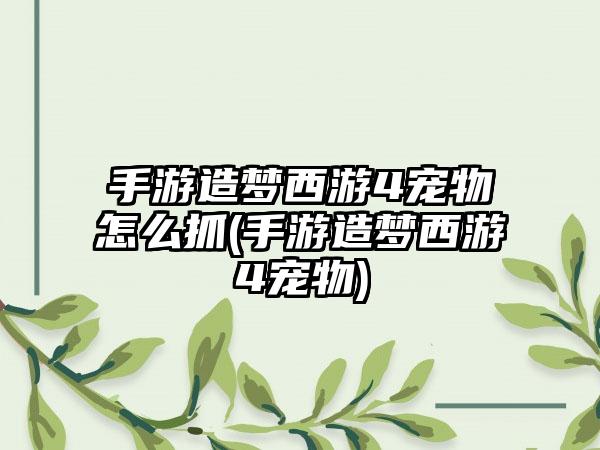 手游造梦西游4宠物怎么抓(手游造梦西游4宠物)