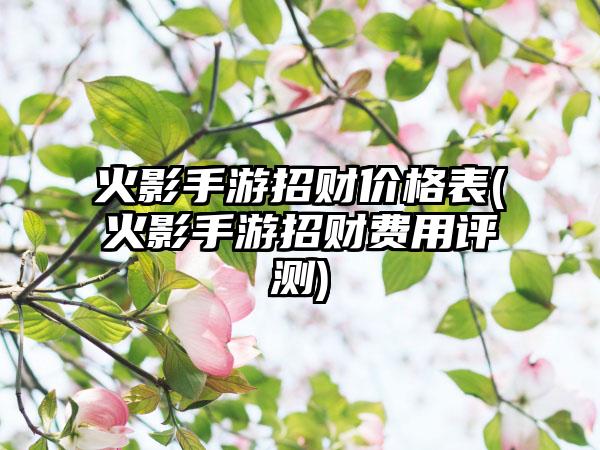 火影手游招财价格表(火影手游招财费用评测)