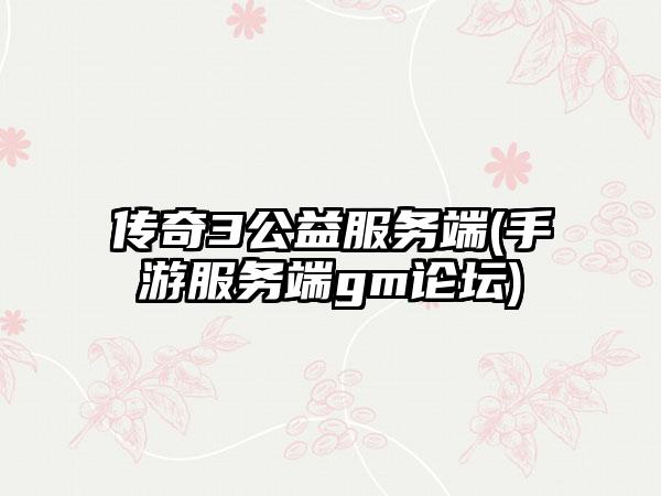 传奇3公益服务端(手游服务端gm论坛)