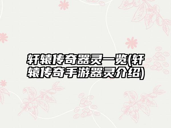 轩辕传奇器灵一览(轩辕传奇手游器灵介绍)
