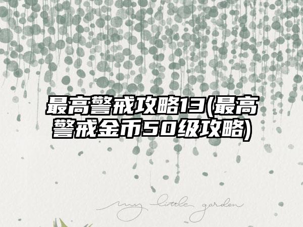 最高警戒攻略13(最高警戒金币50级攻略)