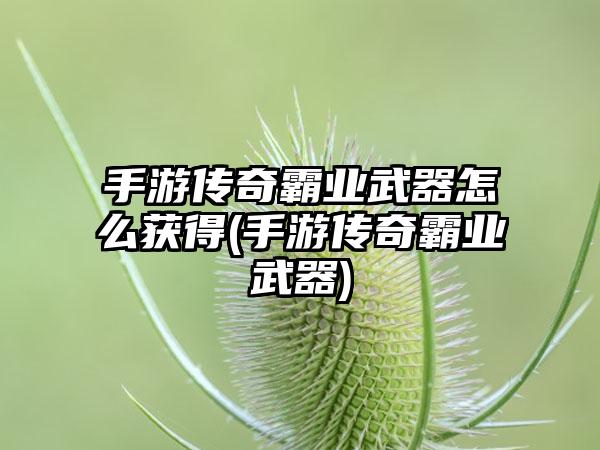 手游传奇霸业武器怎么获得(手游传奇霸业武器)