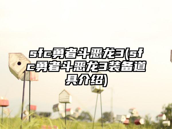 sfc勇者斗恶龙3(sfc勇者斗恶龙3装备道具介绍)