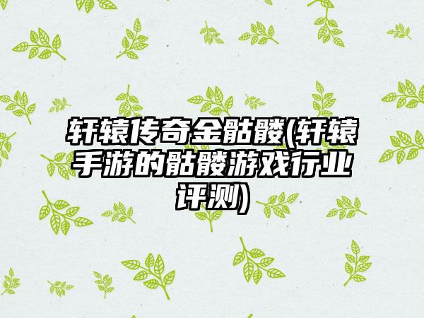 轩辕传奇金骷髅(轩辕手游的骷髅游戏行业评测)