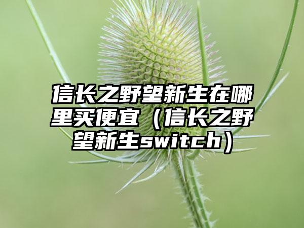 信长之野望新生在哪里买便宜（信长之野望新生switch）