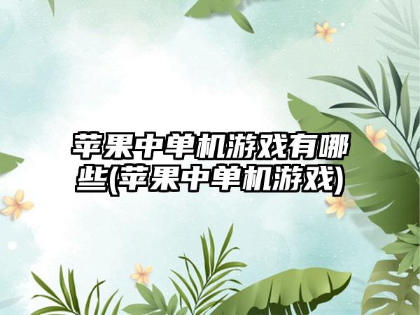 苹果中单机游戏有哪些(苹果中单机游戏)