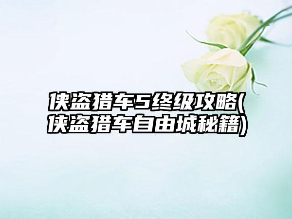 侠盗猎车5终级攻略(侠盗猎车自由城秘籍)