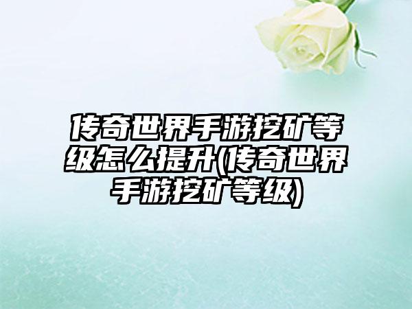 传奇世界手游挖矿等级怎么提升(传奇世界手游挖矿等级)