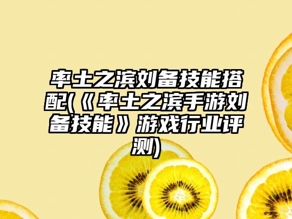 率土之滨刘备技能搭配(《率土之滨手游刘备技能》游戏行业评测)