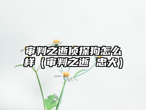 审判之逝侦探狗怎么样（审判之逝 忠犬）