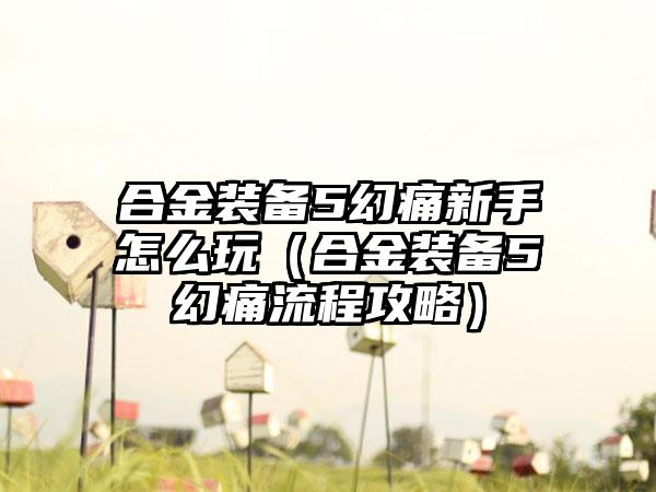 合金装备5幻痛新手怎么玩（合金装备5幻痛流程攻略）
