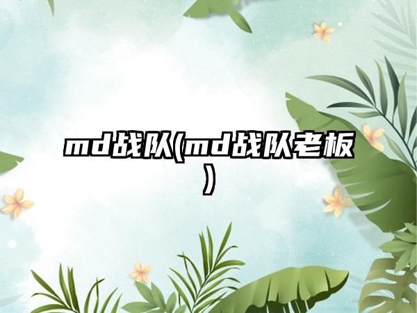 md战队(md战队老板)
