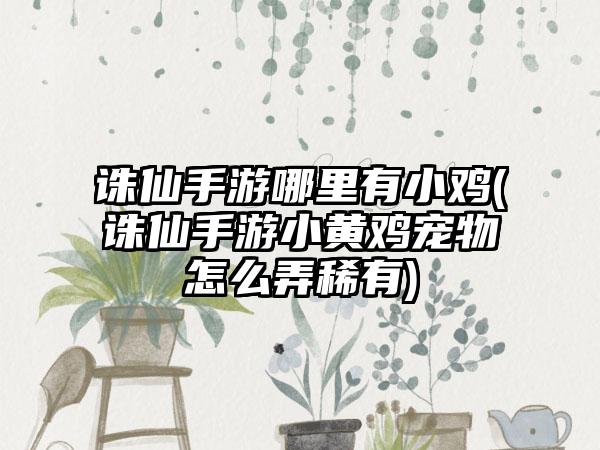 诛仙手游哪里有小鸡(诛仙手游小黄鸡宠物怎么弄稀有)