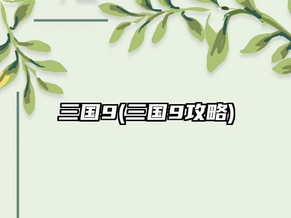 三国9(三国9攻略)