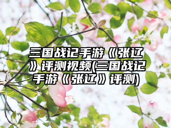 三国战记手游《张辽》评测视频(三国战记手游《张辽》评测)