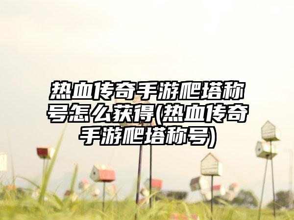 热血传奇手游爬塔称号怎么获得(热血传奇手游爬塔称号)