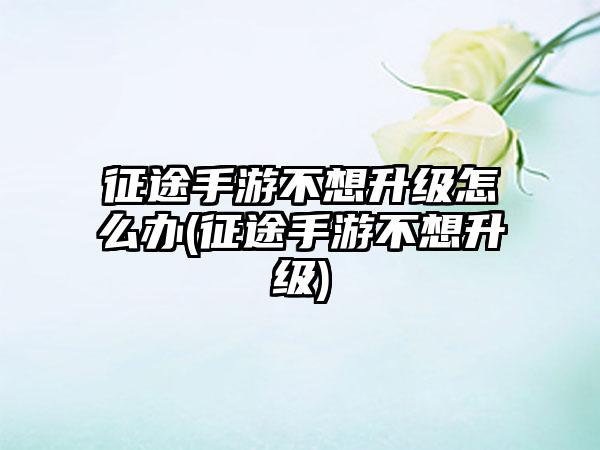 征途手游不想升级怎么办(征途手游不想升级)
