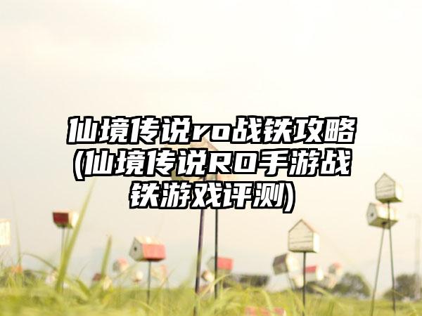 仙境传说ro战铁攻略(仙境传说RO手游战铁游戏评测)