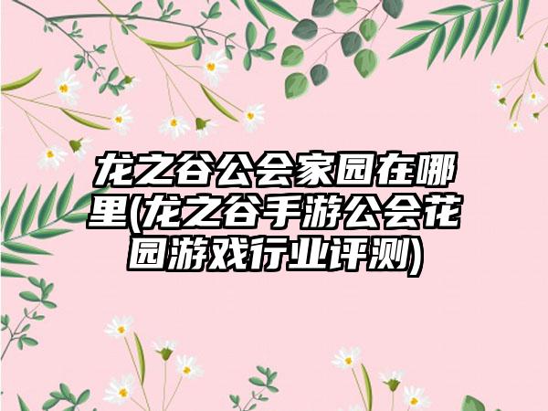 龙之谷公会家园在哪里(龙之谷手游公会花园游戏行业评测)