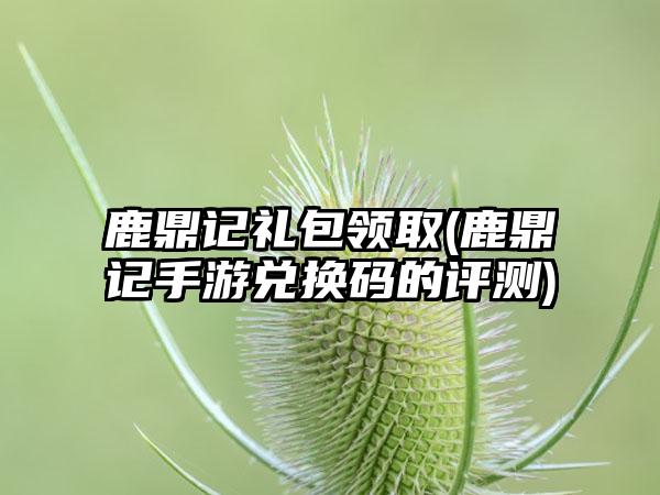 鹿鼎记礼包领取(鹿鼎记手游兑换码的评测)