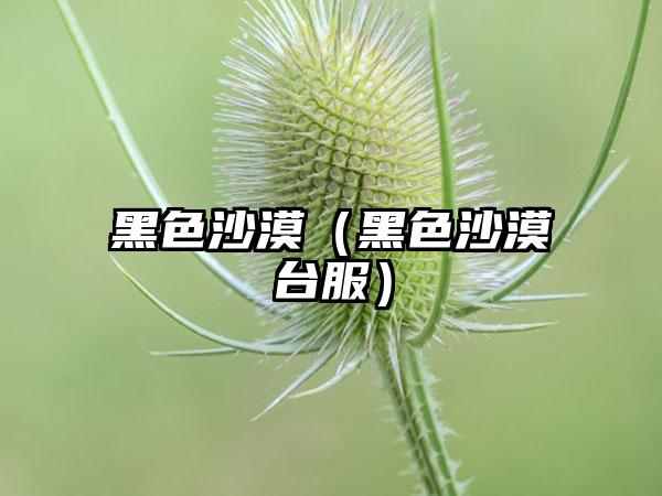 黑色沙漠（黑色沙漠台服）