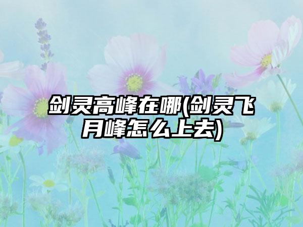 剑灵高峰在哪(剑灵飞月峰怎么上去)